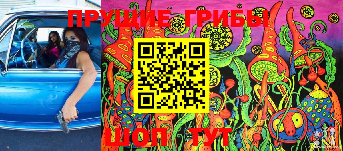 Сосновый Бор  Галлюциногенные грибы MAGIC MUSHROOMS  Вход с VPN 
