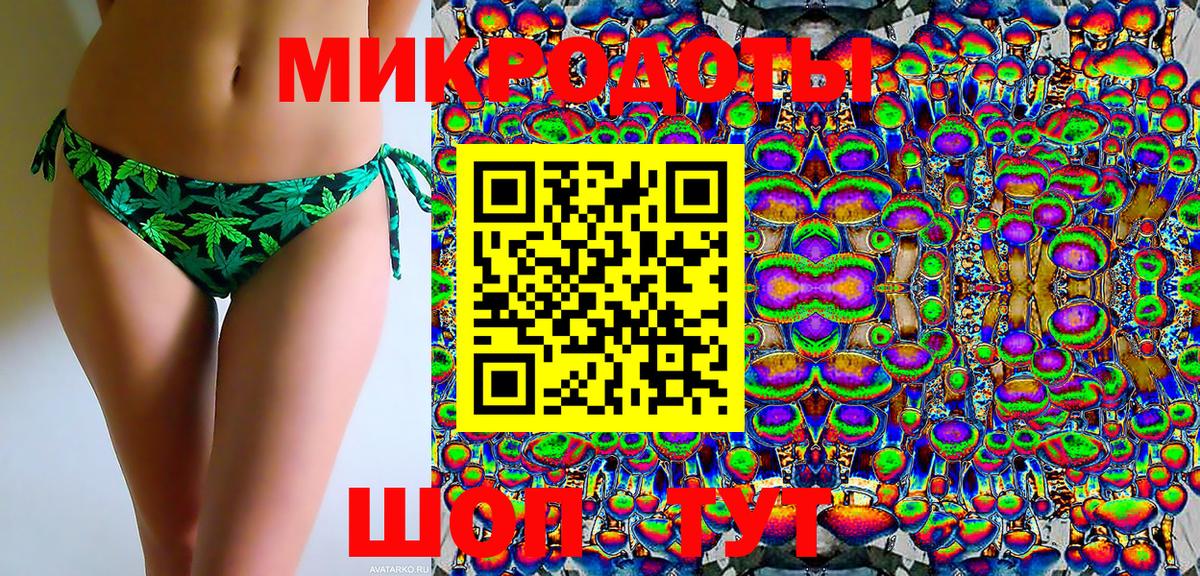 Псилоцибиновые грибы Cubensis Сосновый Бор